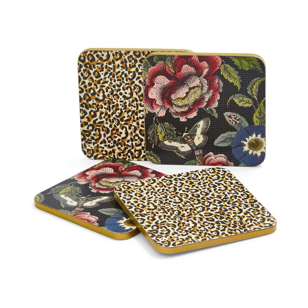 Creatures of Curiosity Coasters - Set of 4 – Rob McIntosh