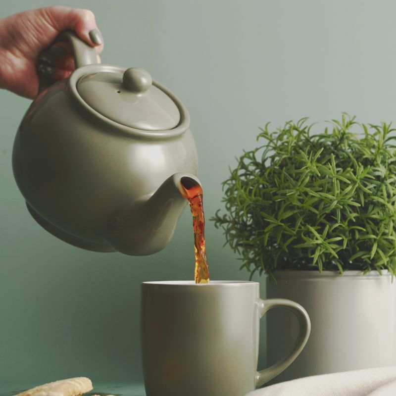 Price & Kensington Teapot 6 Cup Sage