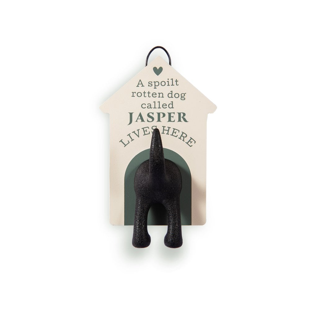 The Dog Leash Hook Jasper