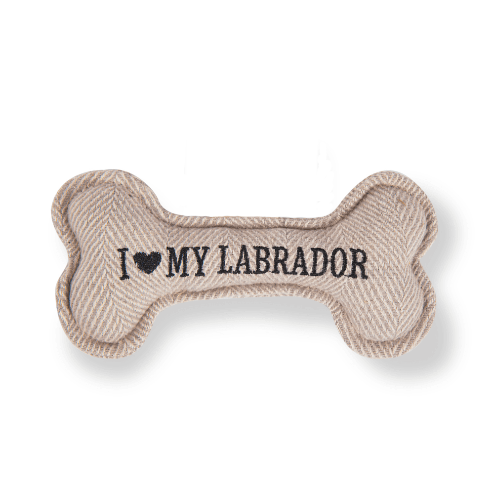 The Squeaky Dog Toy Labrador