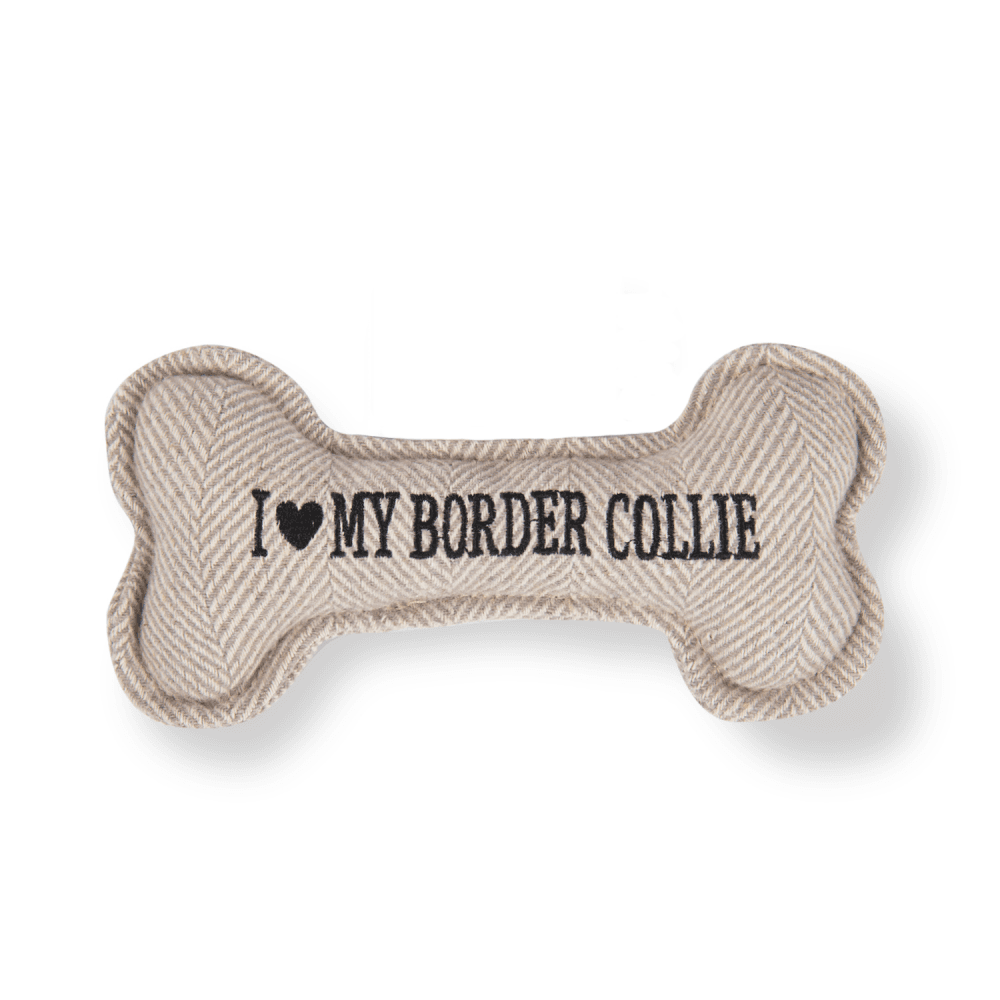 The Squeaky Dog Toy Border Collie