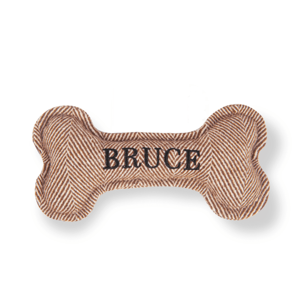 The Squeaky Dog Toy Bruce