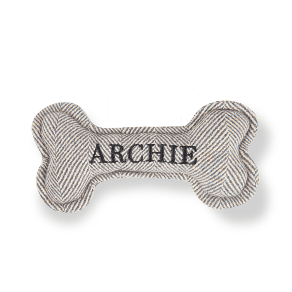 The Squeaky Dog Toy Archie