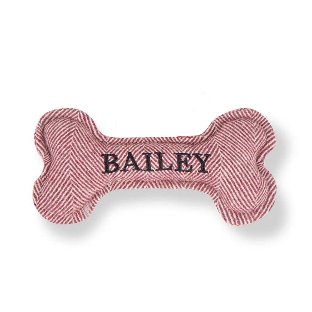 The Squeaky Dog Toy Bailey