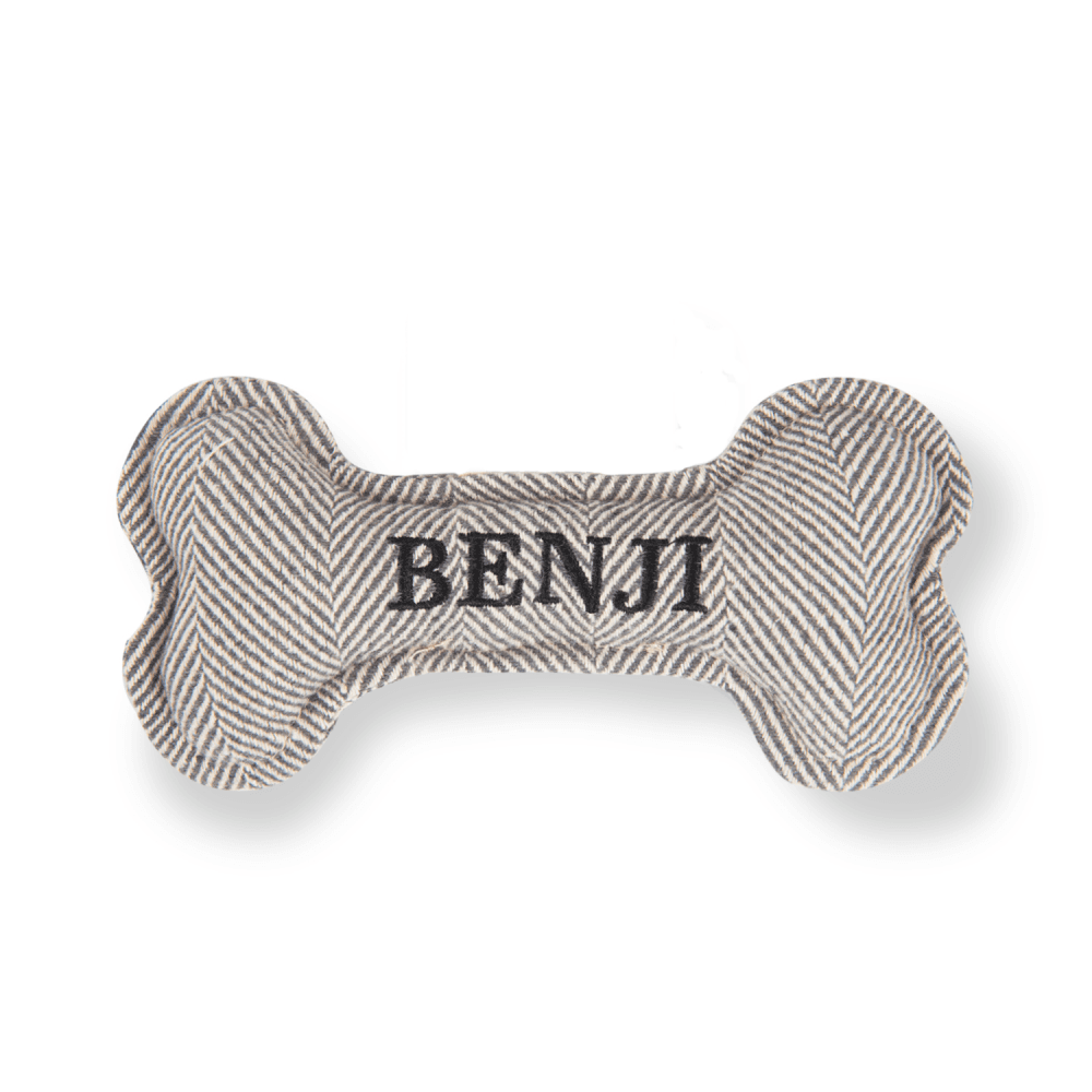 The Squeaky Dog Toy Benji