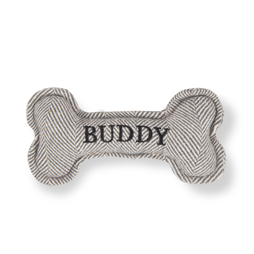 The Squeaky Dog Toy Buddy