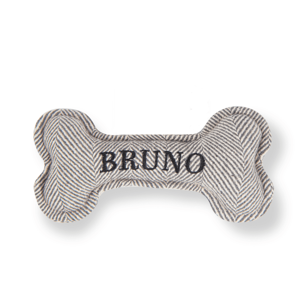 The Squeaky Dog Toy Bruno