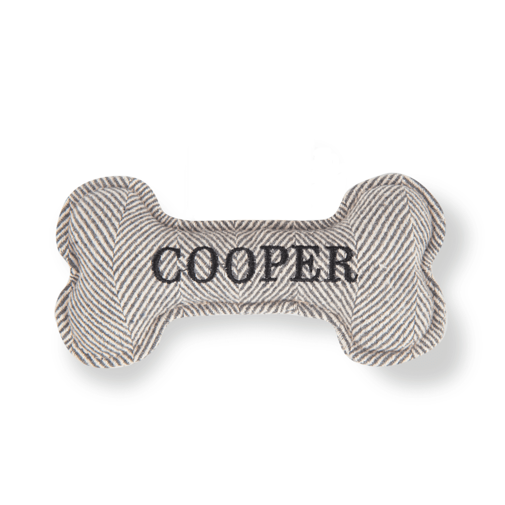 The Squeaky Dog Toy Cooper