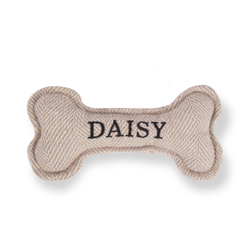 The Squeaky Dog Toy Daisy