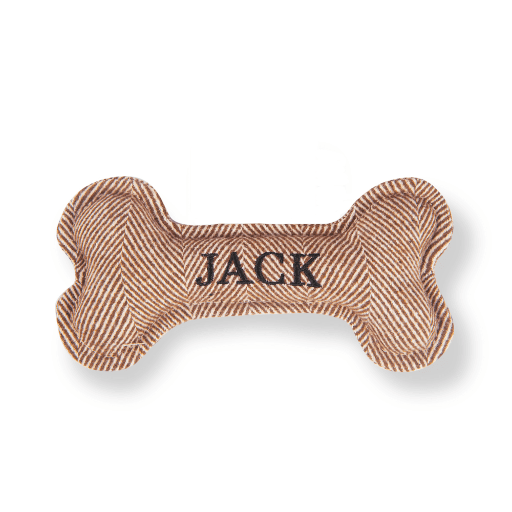 The Squeaky Dog Toy Jack