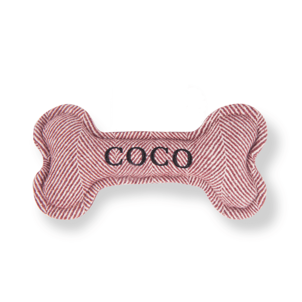 The Squeaky Dog Toy Coco