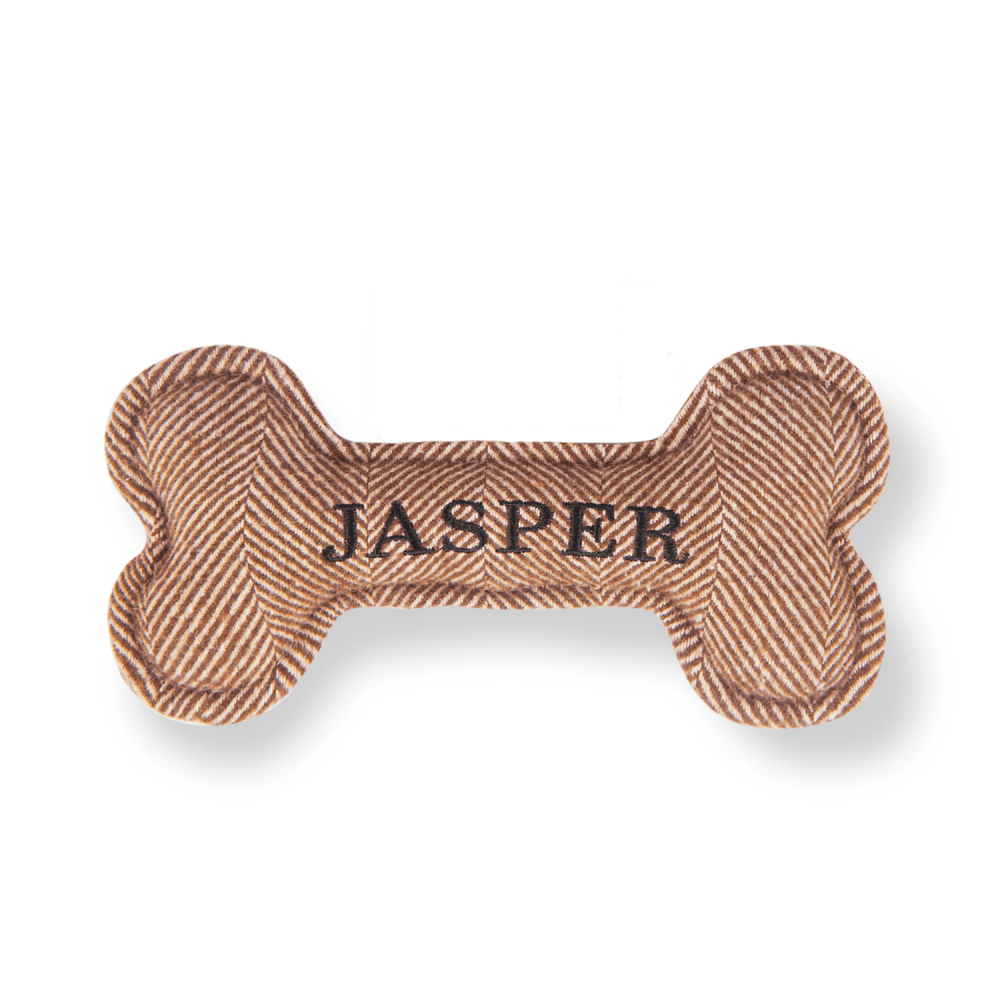 The Squeaky Dog Toy Jasper