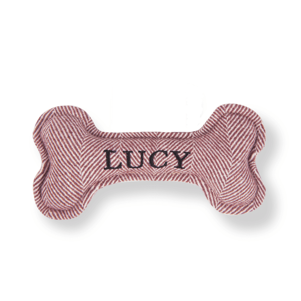 The Squeaky Dog Toy Lucy