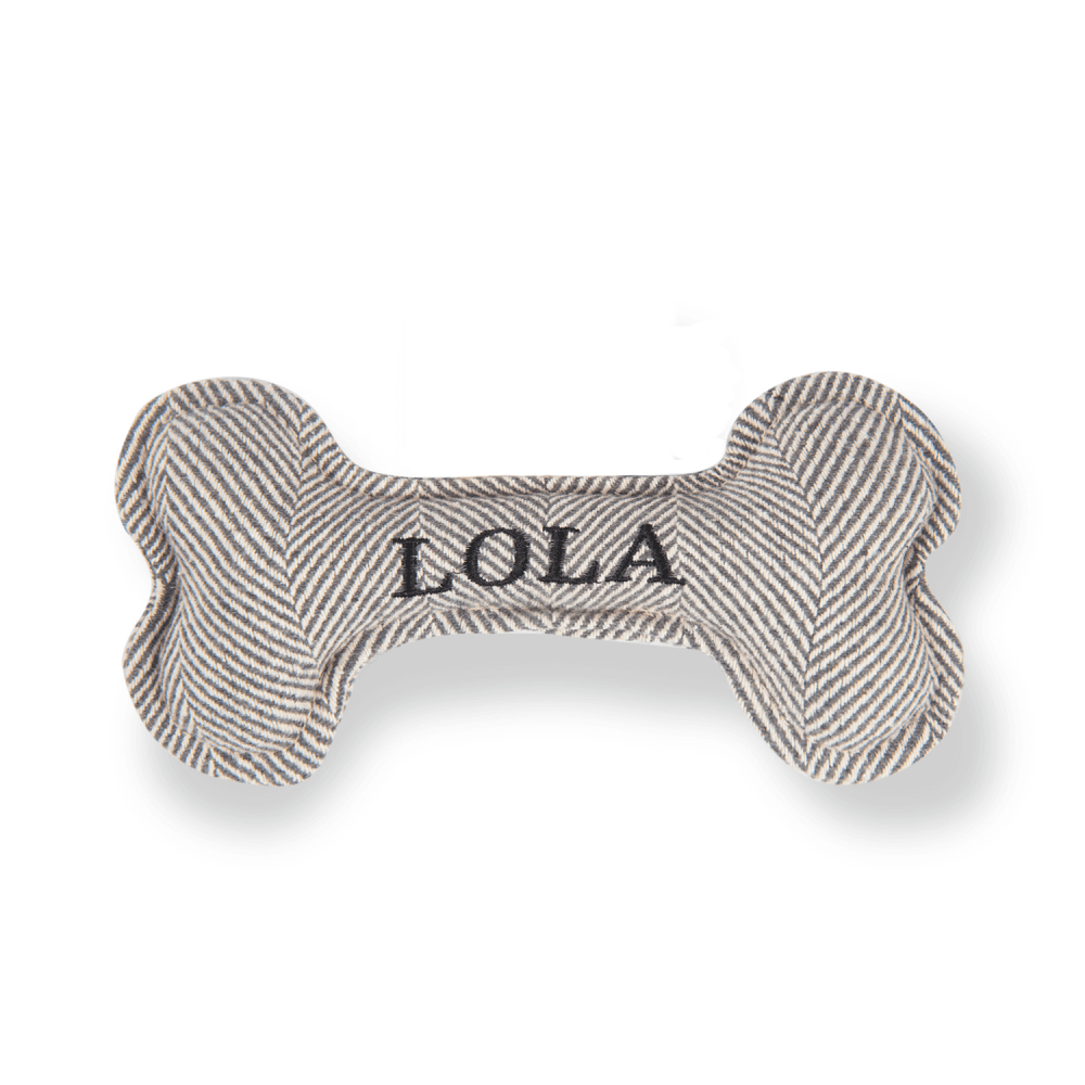 The Squeaky Dog Toy Lola