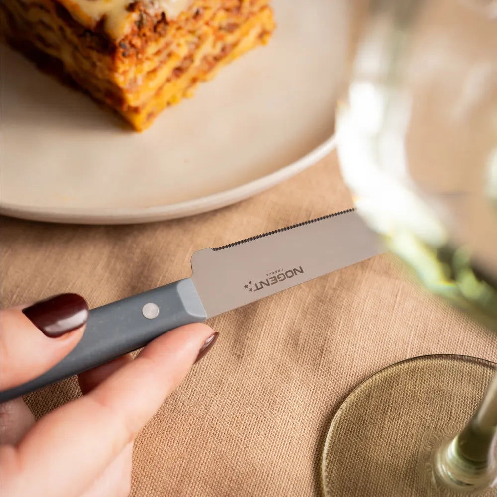 Nogent Silhouette Steak Knives Blue-Grey
