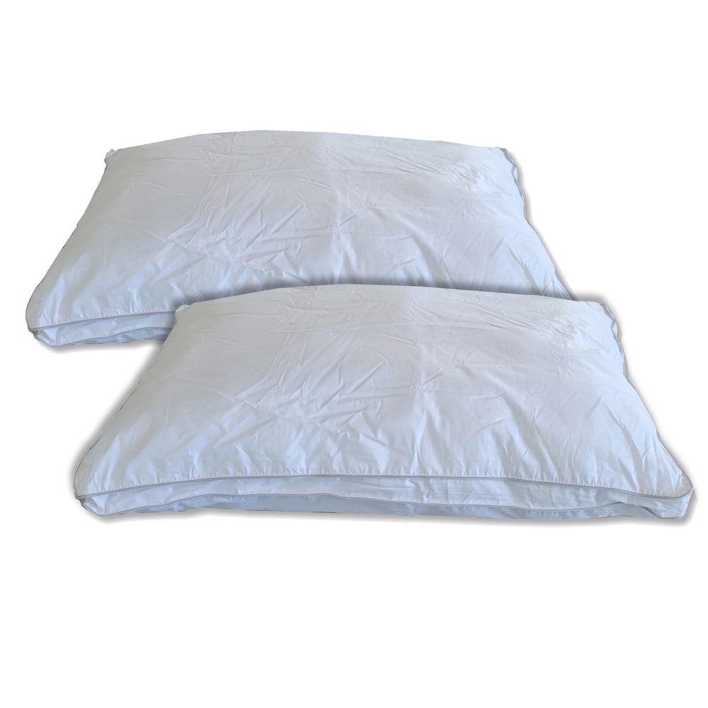 Cotton House (SET OF 2) 300 TC 100% Egyptian Cotton Gel Filling Queen