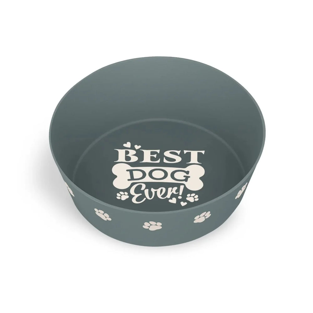 The Dog Bowl Best Dog Ever