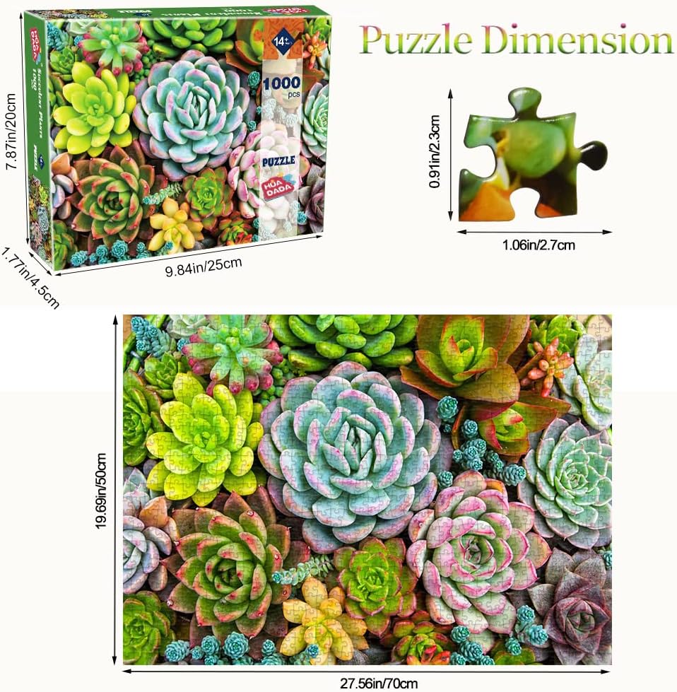 HUADADA 1000 Pieces Puzzle - Succulent Plants