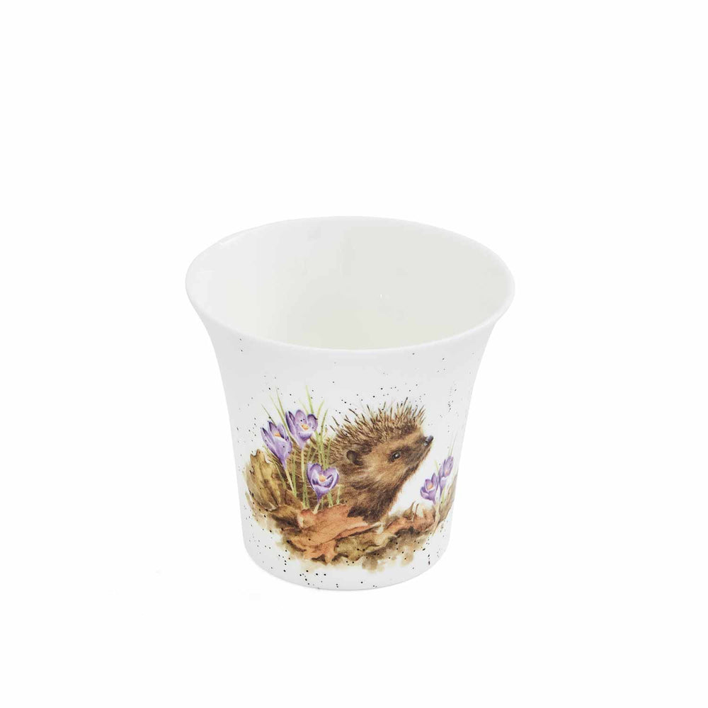 Wrendale Flower/Herb Pot Hedgehog