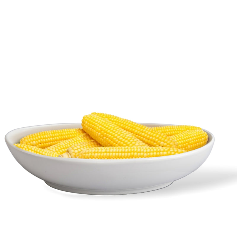 BIA Large Oval Serving Bowl