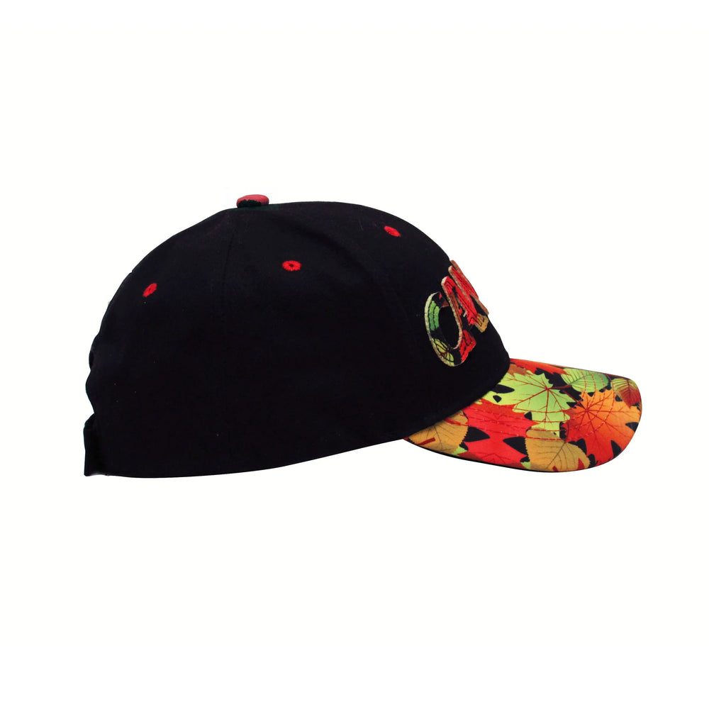 Indigenous Baseball Cap - Fall Leaves