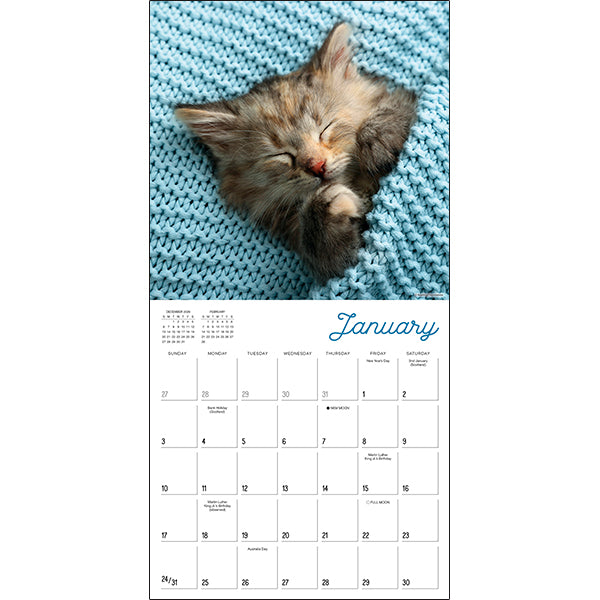 Sellers Publishing Wall Calendar Cat Naps