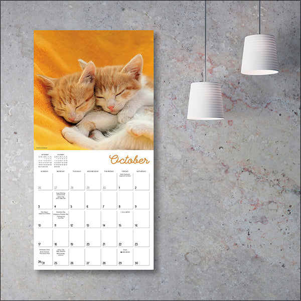 Sellers Publishing Wall Calendar Cat Naps