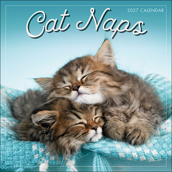 Sellers Publishing Wall Calendar Cat Naps