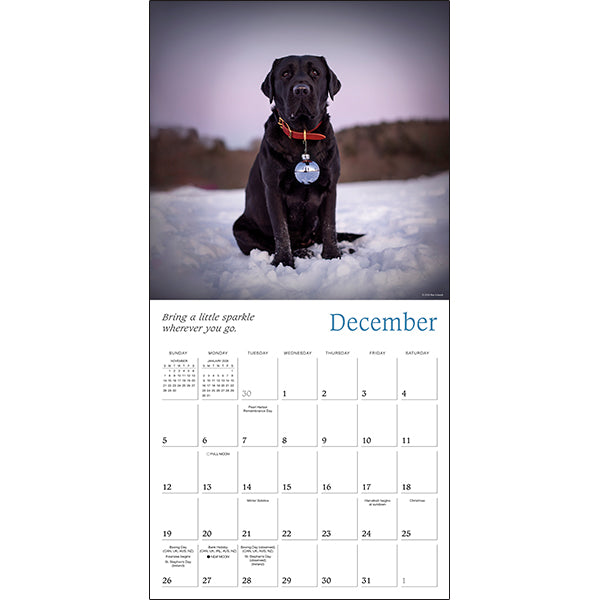Sellers Publishing Wall Calendar Dogma