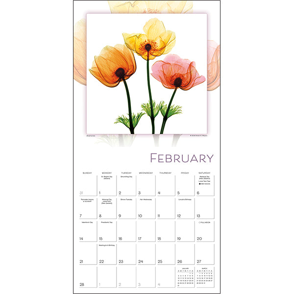 Sellers Publishing Wall Calendar Flower Spirits