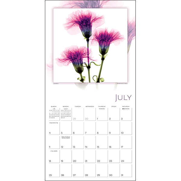 Sellers Publishing Wall Calendar Flower Spirits