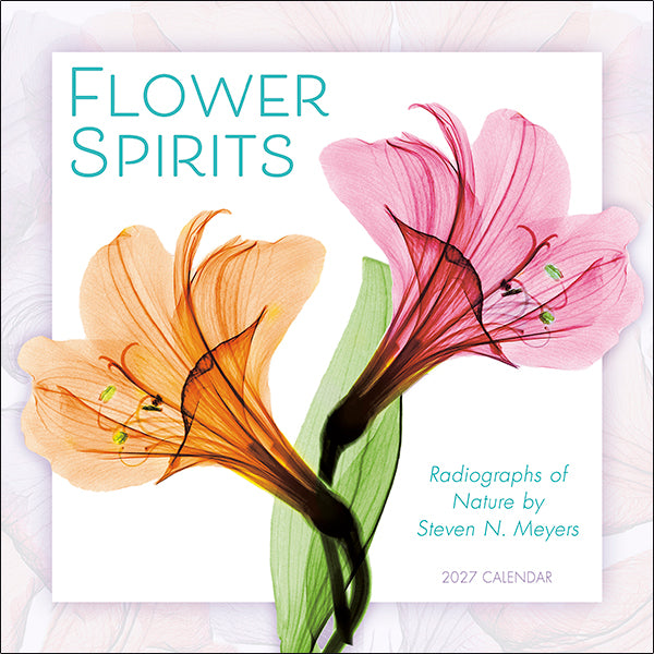Sellers Publishing Wall Calendar Flower Spirits