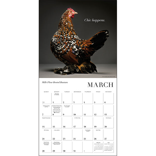Sellers Publishing Wall Calendar Glamour Chicks