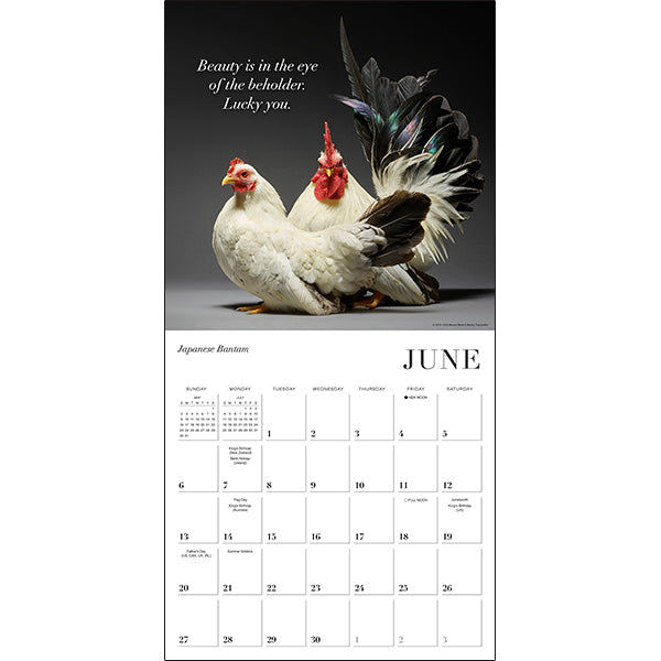 Sellers Publishing Wall Calendar Glamour Chicks