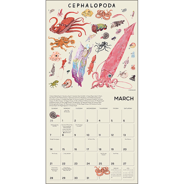 Sellers Publishing Wall Calendar The Illustrated Animal Kingdom