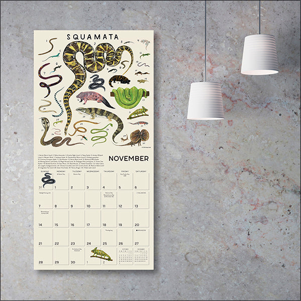 Sellers Publishing Wall Calendar The Illustrated Animal Kingdom