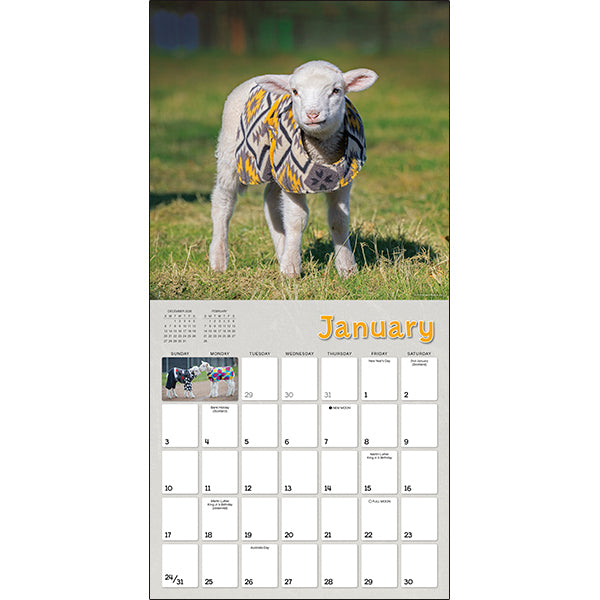 Sellers Publishing Wall Calendar Lambies in Jammies & Goats in Coats