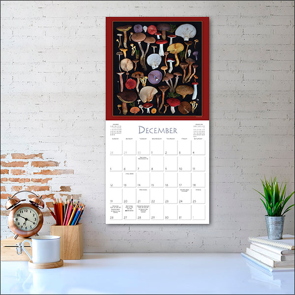 Sellers Publishing Wall Calendar Mushrooms: The Art of the Fungi