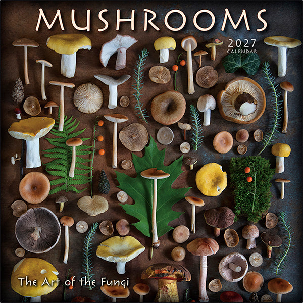 Sellers Publishing Wall Calendar Mushrooms: The Art of the Fungi