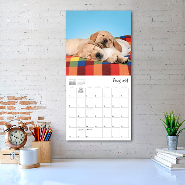 Sellers Publishing Wall Calendar Pooped Puppies