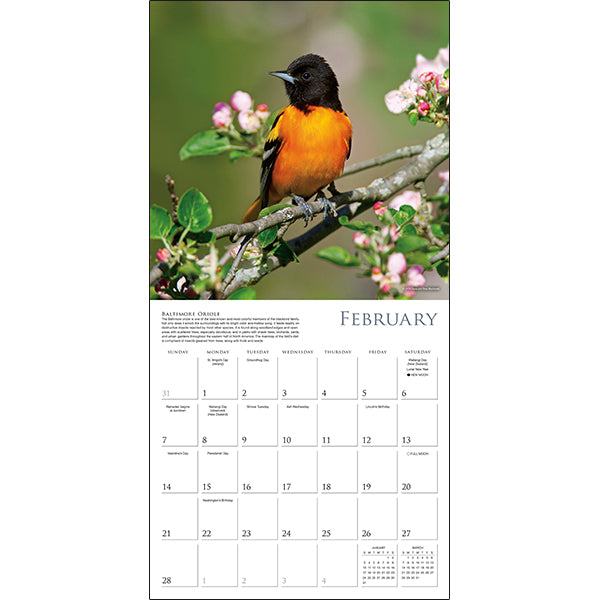 Sellers Publishing Wall Calendar Songbirds of North America