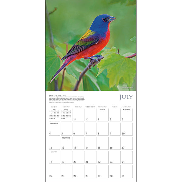 Sellers Publishing Wall Calendar Songbirds of North America