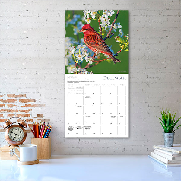 Sellers Publishing Wall Calendar Songbirds of North America