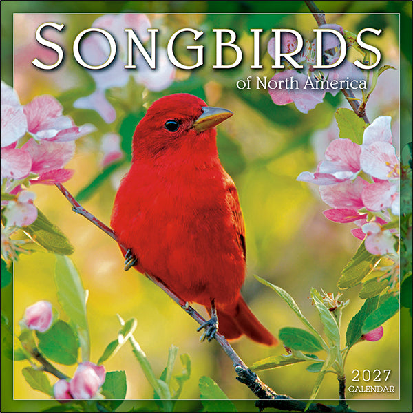 Sellers Publishing Wall Calendar Songbirds of North America