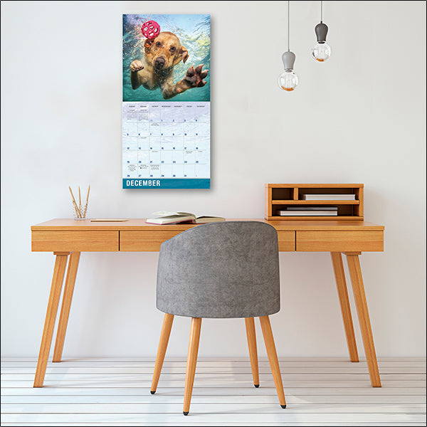 Sellers Publishing Wall Calendar Underwater Dogs