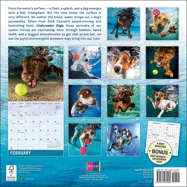 Sellers Publishing Wall Calendar Underwater Dogs