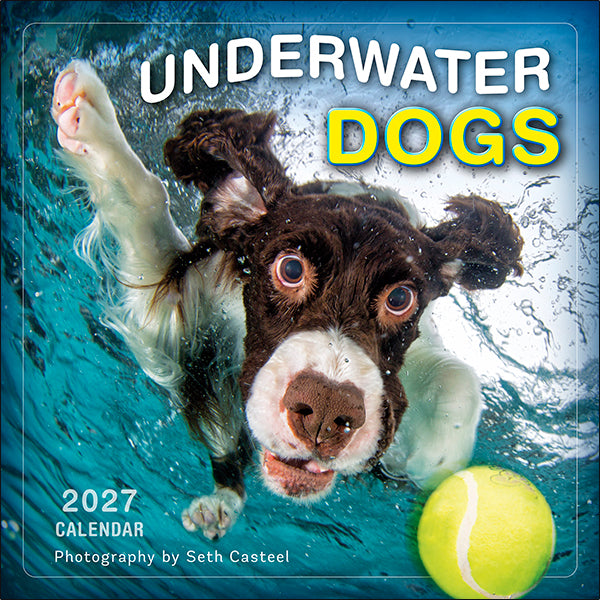 Sellers Publishing Wall Calendar Underwater Dogs