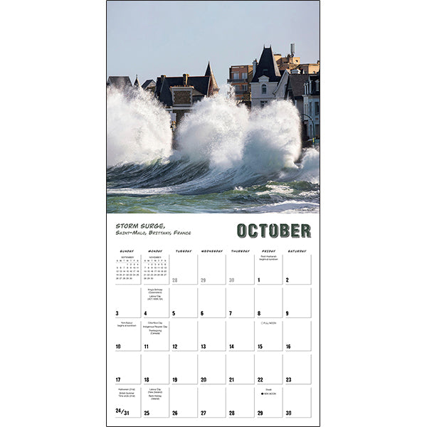 Sellers Publishing Wall Calendar Weather Gone Wild