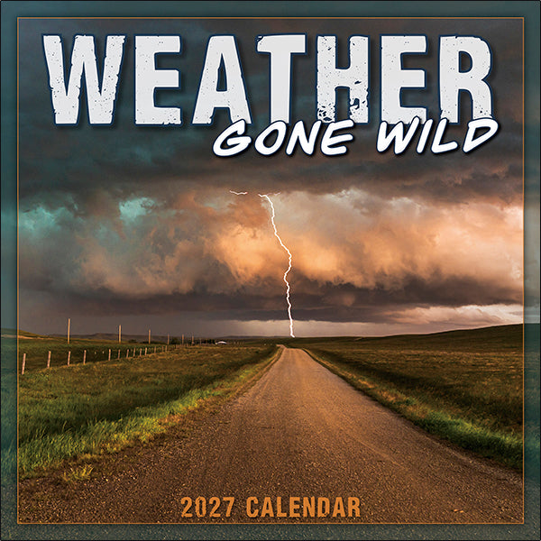 Sellers Publishing Wall Calendar Weather Gone Wild