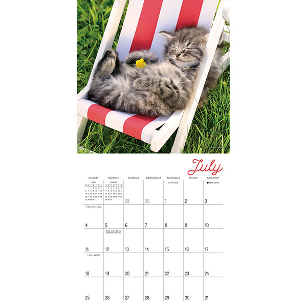 Sellers Publishing Mini Calendar Cat Naps